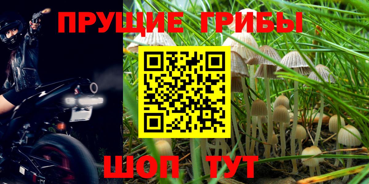 Галлюциногенные грибы ЛСД  Вход с VPN  Ессентуки 