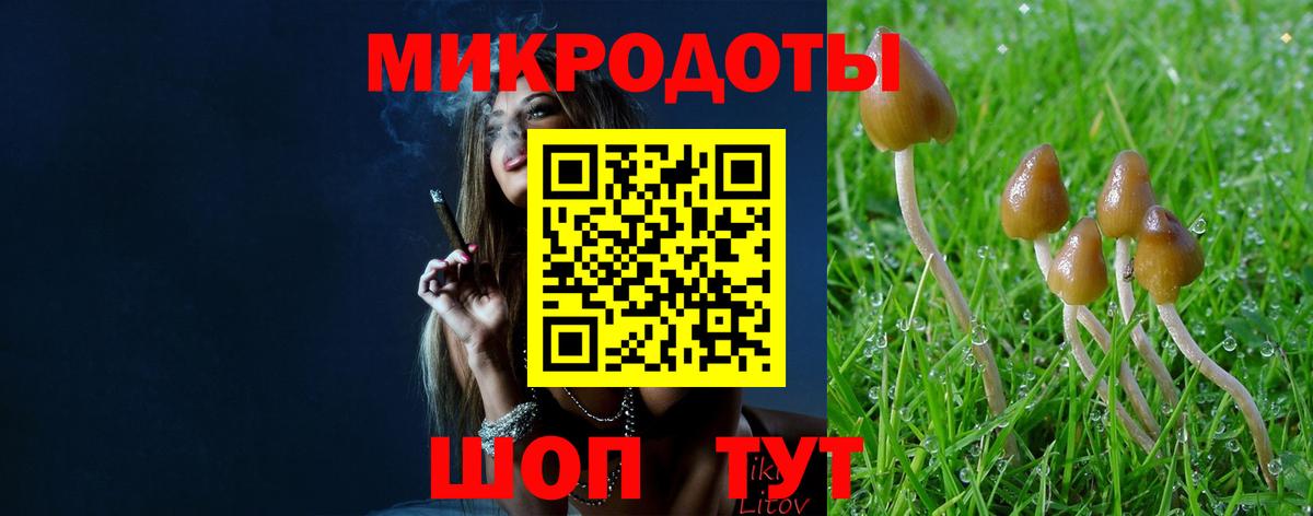 Псилоцибиновые грибы прущие грибы Ессентуки